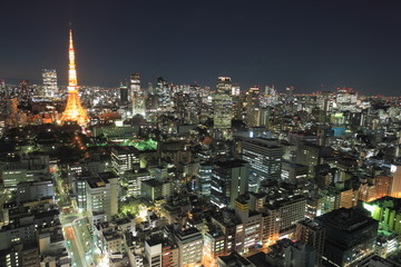 Fototapeta premium 東京の夜景