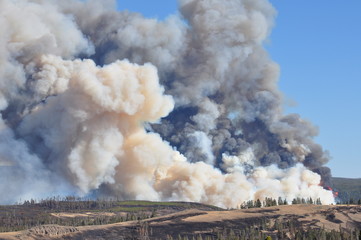 Fire