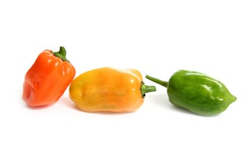 Habanero Capsicum chili hottest pepper in the world from Mexico