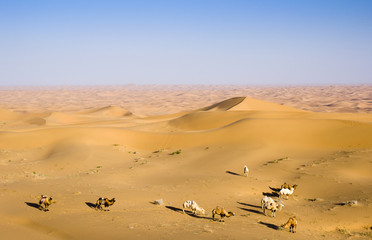 Fototapeta na wymiar Piasek pustyni, china