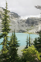 A glacier lake view with tree.