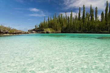 Rolgordijnen Baie d'Oro à l'île des Pins - Nouvelle Calédonie © Delphotostock