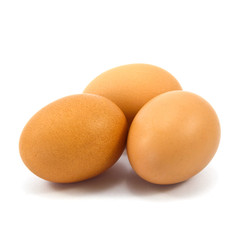 egg