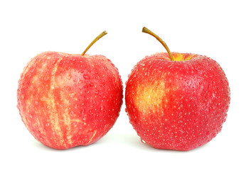 Fresh Apples