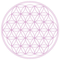 Fleur de vie sur fond blanc