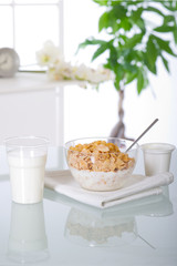 breakfast at home with cereal and milk and yogurt