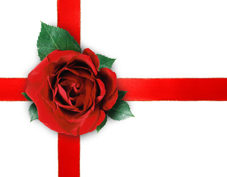 nastro con la rosa