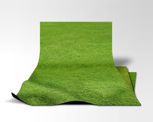 3Dイメージ