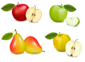 Group of pears and apples. Vector illustration.
