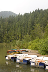 Fototapeta na wymiar Rowing boats on lake