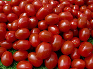Tomates Olivettes du Marché