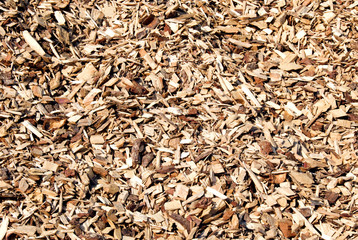 Wood chips
