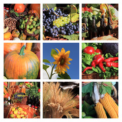 Erntedankfest Obst, Gem&uuml;se und Wein Collage