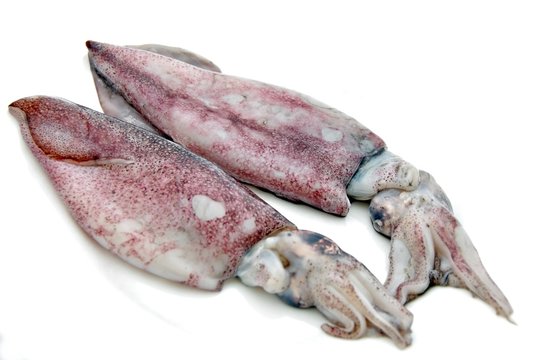 Calamares