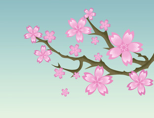 Spring - cherry blossom