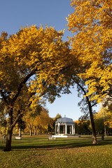 Fototapeta na wymiar Fall colors in the park