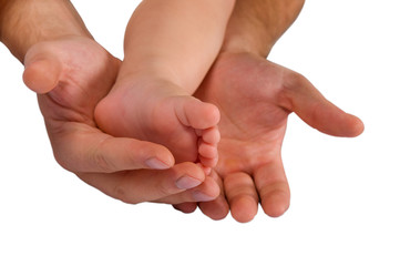 Hands of a man and a young child