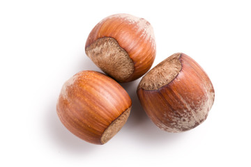 three hazelnuts