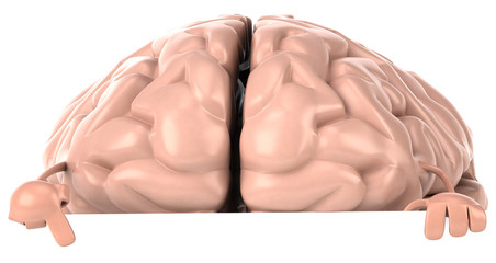 Fototapeta premium Cerveau