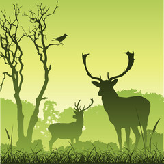 Male Stag Deer on a Meadow with Trees and Bird