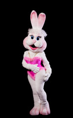 bunny girl mascot costume confused
