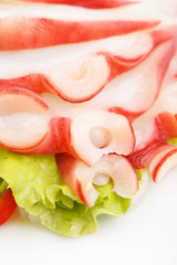Octopus on the plate