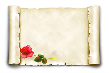 Papierrolle 22