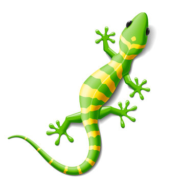 Lizard Cartoon Images – Browse 60,107 Stock Photos, Vectors, and Video |  Adobe Stock