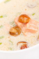 Soup made from Coco Milk and Mushrooms