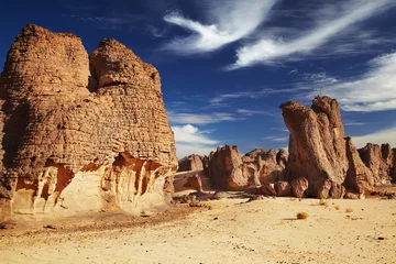 Rolgordijnen Sandstone cliffs in Sahara Desert © Dmitry Pichugin