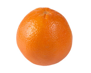Oranges on white background
