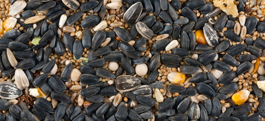 Grains