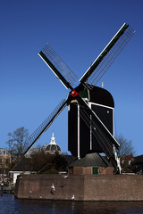 Black and White Windmill