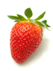 Strawberry - Fragola