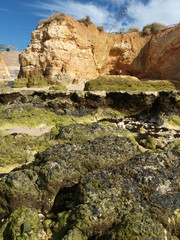 Algarve coast at low tide the ocean .
