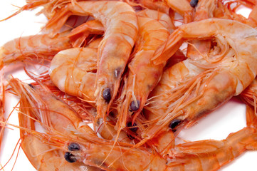 shrimps