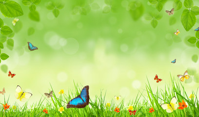 Spring background