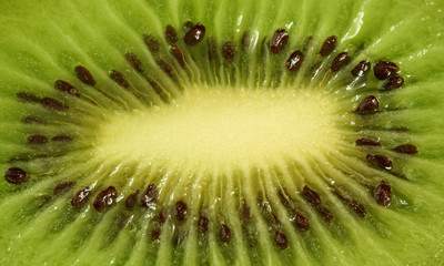 Kiwi macro