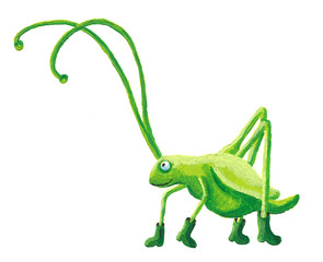 Funny grasshopper
