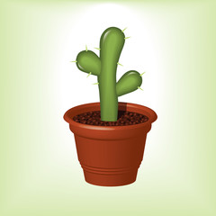 green cactus with thorns in flowerpot