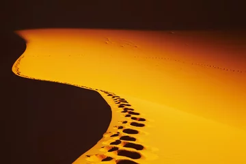Rolgordijnen Footprints on sand dune © Dmitry Pichugin