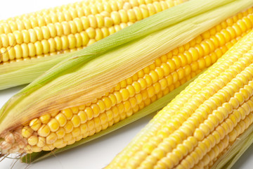 Fresh corn vegetable