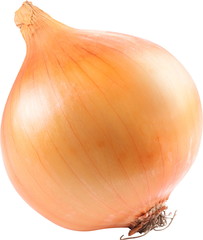 Image of onion on white background.