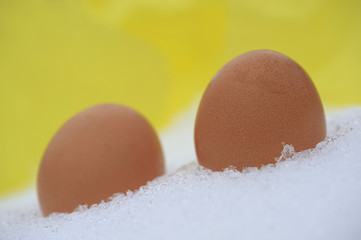 Eggs in snow