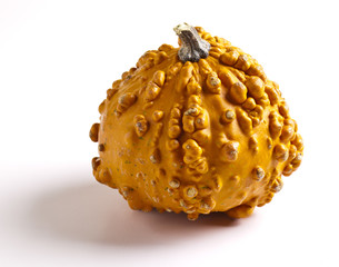 Docorative Gourd