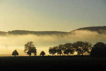 Vorbergzone im Morgendunst