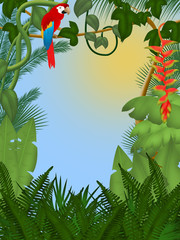Paradise