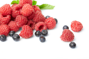 berries on white background