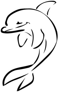 dolphin draw isolated on withe background