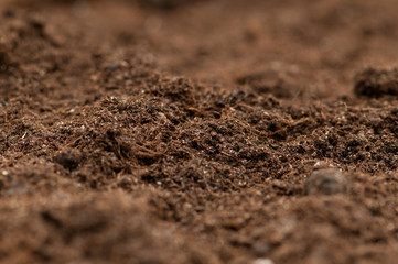 Close up of soil - can be used as background